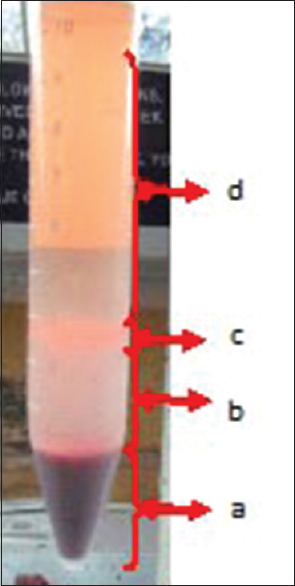 Showing Density gradient sedimentation. (a) RBCs and granulocytes; (b) clear layer of Ficoll; (c) buffy colored mononuclear fraction; and (d) clear layer of plasma. RBC = Red blod cell