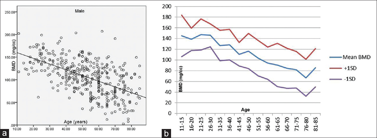 (a) Scatter diagram of the vertebral bone mineral density for males as a function of age and linear regression line. (b) Age wise variation in mean bone mineral density in males in various age groups