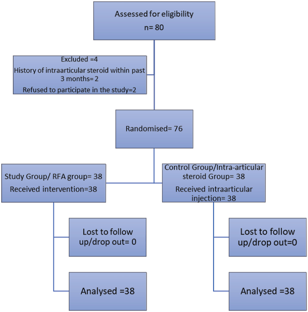 CONSORT flowchart of recruitment and allotment of participants