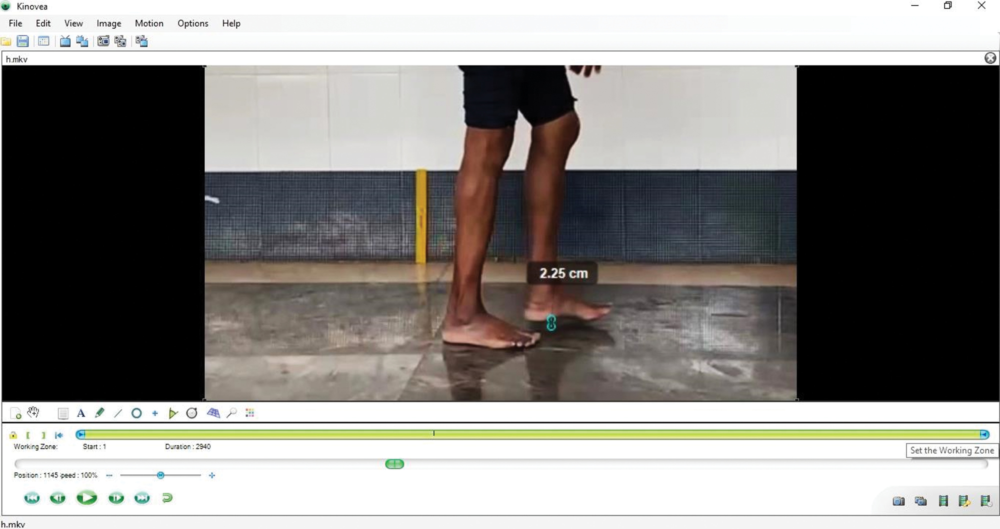 A process for measuring foot clearance using Kinovea software (reproduction size at column width)